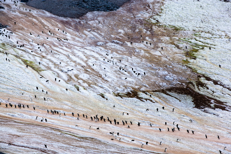 Illustration for article titled Antarctica is actually an amazingly colorful place